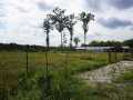 Granton Land Real Estate