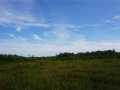 Granton Land Real Estate