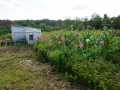Granton Land Real Estate
