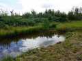 Granton Land Real Estate
