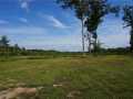 Granton Land Real Estate
