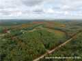 Property Photo 59