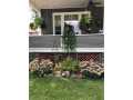 Black River Falls Residential Real Estate
