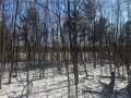 Chippewa Falls Land Real Estate