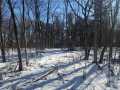 Chippewa Falls Land Real Estate