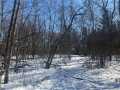 Chippewa Falls Land Real Estate