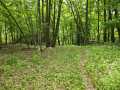 Menomonie Land Real Estate