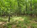 Menomonie Land Real Estate