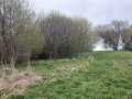 Bloomer Land Real Estate