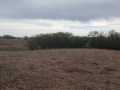Bloomer Land Real Estate