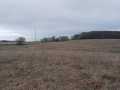 Bloomer Land Real Estate