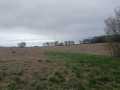 Bloomer Land Real Estate