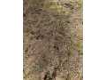 Eau Claire Land Real Estate