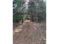 Eau Claire Land Real Estate