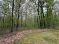 Stone Lake Residential Real Estate