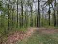 Stone Lake Residential Real Estate
