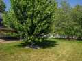 Eau Claire Residential Real Estate