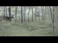 Cumberland Land Real Estate