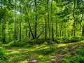 Cumberland Land Real Estate