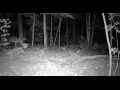 Cumberland Land Real Estate