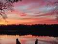 Colfax Residential Real Estate