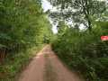 Danbury Land Real Estate
