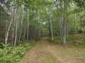 Danbury Land Real Estate