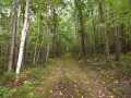 Danbury Land Real Estate