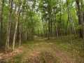 Danbury Land Real Estate