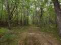 Danbury Land Real Estate
