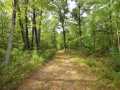 Danbury Land Real Estate