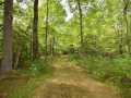 Danbury Land Real Estate