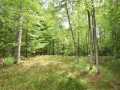 Danbury Land Real Estate