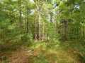 Danbury Land Real Estate