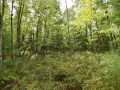 Danbury Land Real Estate