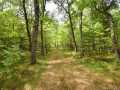 Danbury Land Real Estate