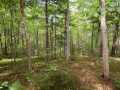 Danbury Land Real Estate