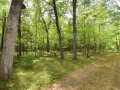 Danbury Land Real Estate