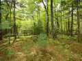 Danbury Land Real Estate