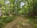 Danbury Land Real Estate