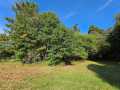 Eau Claire Land Real Estate