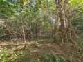 Eau Claire Land Real Estate