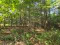 Eau Claire Land Real Estate