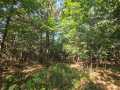 Eau Claire Land Real Estate