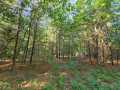 Eau Claire Land Real Estate