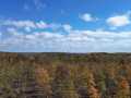 Exeland Land Real Estate
