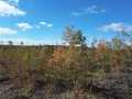 Exeland Land Real Estate
