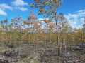 Exeland Land Real Estate