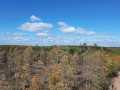 Exeland Land Real Estate