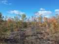 Exeland Land Real Estate